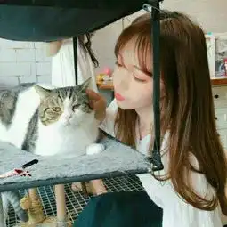 抱动物的漂亮女生微信头像可爱有点萌听说爱情是场谋杀
