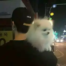 对你我终是逃不开的结