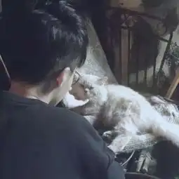 最新男生抱宠物微信头像大全我是真的动了心的爱你
