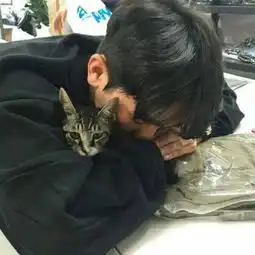 人为什么要努力因为这个世界没有qq男生头像我要个性网