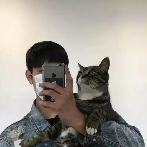 有什么带猫的适合男生用的头像