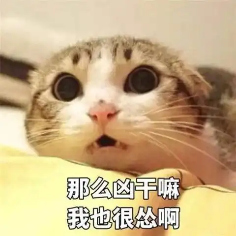 猫咪头像男生代表什么贝