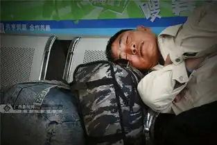 春运表情春运的睡姿