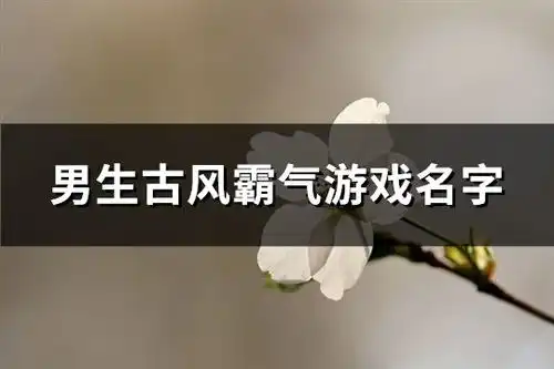 男生古风霸气游戏名字精选183个