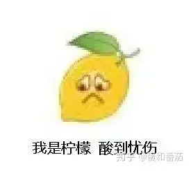 放炮的图片表情包大全柠