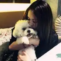 猫头像男生专用版高冷头