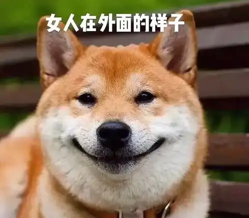 分享几张真实的表情包