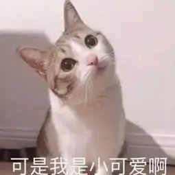 还在说我喜欢你现在流行用表情包表白,躺着也能脱单
