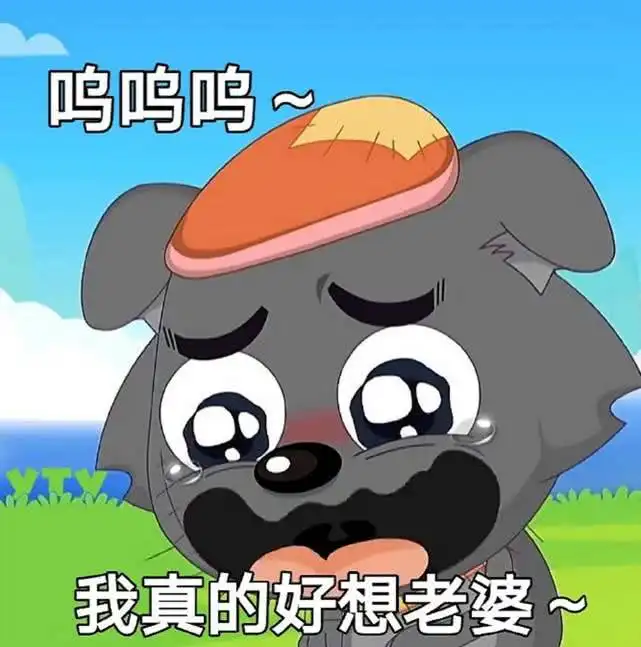 表情斗图表情你这么厉害,怎么不来青青草原抓羊呢表情
