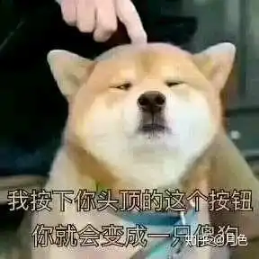 有哪些6到飞起的表情包