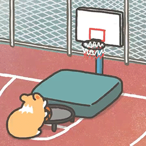 软萌柯基的日常表情包