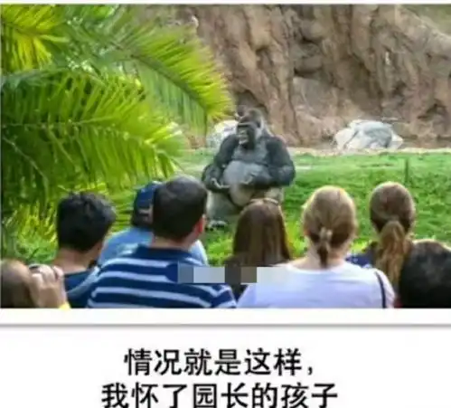 沙雕图片每个成功的男人背后,都会有一个吃饱了没事做的女人腾讯新闻