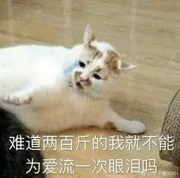 有一个超可爱的女朋友,是种怎样的体验