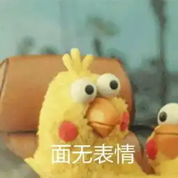 投票他们竟然在飞机上做这种事