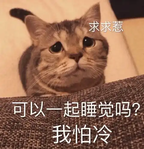 南方人穿拖鞋到东北旅游哈哈哈哈夺笋呐