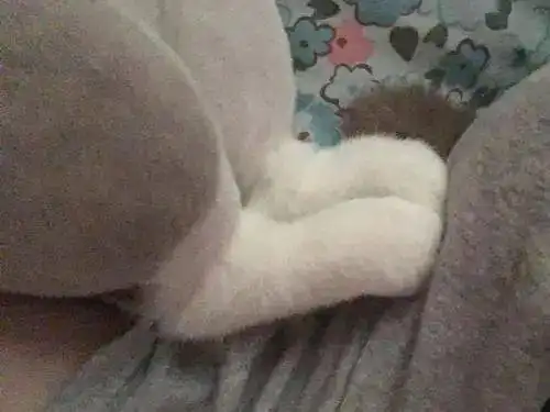 看了金秀贤新女友,还是离不开千颂伊的影子......