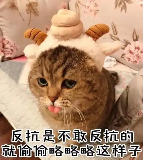 娶了女神却因长得丑被问是否会出轨,可他情商也是真高