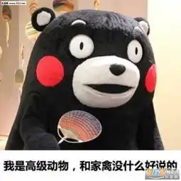 熊本熊你这样会失去我的表情包高清版熊本熊你这样会失去我的表情包下载乐游网游戏下载
