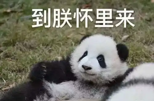 帆布不凡贸大专属帆布包由你来设计