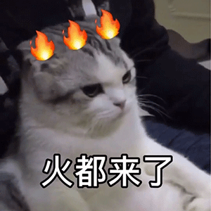 沙雕表情包除了搞对象,没事别叫我