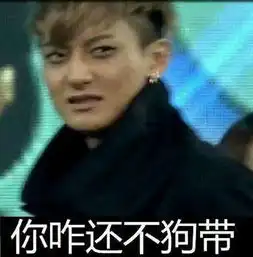 求带飞表情包黄子韬
