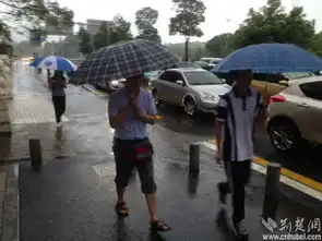 暴雨中的前行者致敬武汉人的上班精神