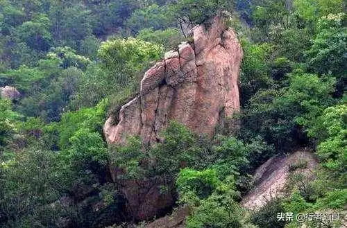 河南良心景区,不要门票,且三餐不到50元,游客大批涌入