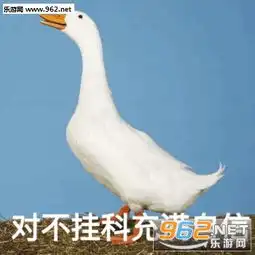 向知识的苦海前进表情包大白鹅学习表情包下载乐游网游戏下载