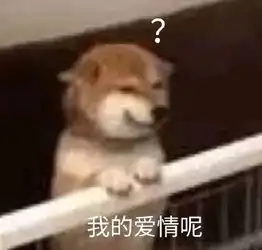 猛虎落地式下跪表情包耳