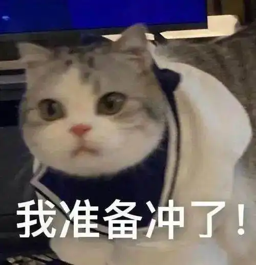 宝宝辛苦了表情包猫叫