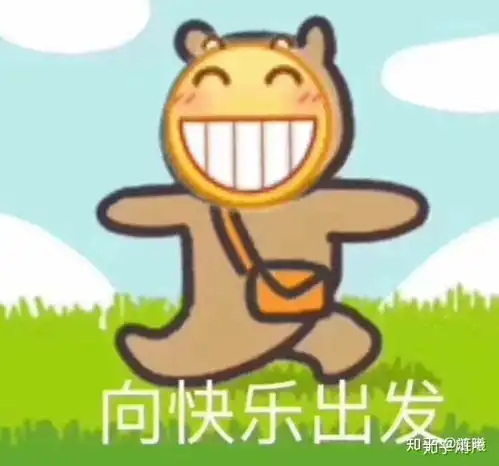 开心到飞起表情包图片小