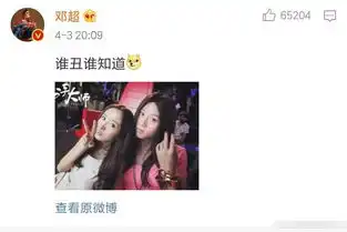杨幂邓超撞衫,谁丑谁尴尬,评论表情包亮了