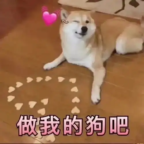 解放了图片表情包小宝贝