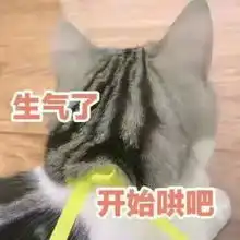 专治对象打游戏不理人的表情别的小哥哥都是秒回