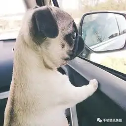 好看的男生头像,女生头像大全,收图啦