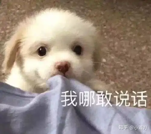 为什么一个男生总是爱发小猫的表情包