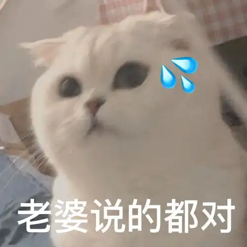 小猫咪版男德经表情包艾特男朋友进来学