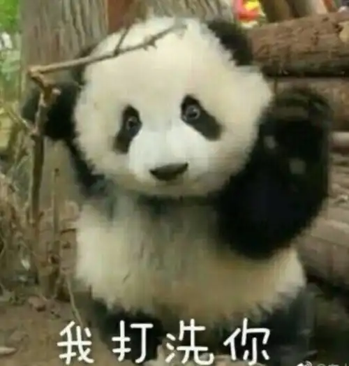 挤牛奶图片表情包熊猫
