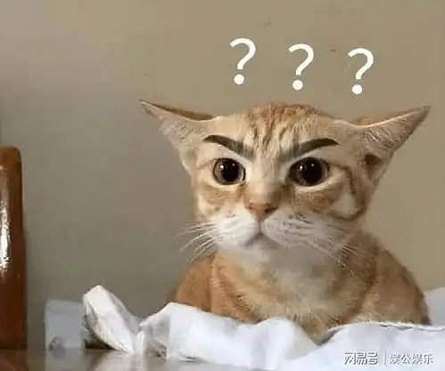 网友翻柜子时,竟翻出一大窝陌生的猫咪我没养猫啊