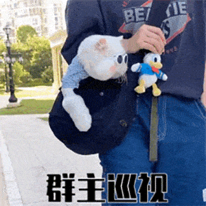 沙雕聊天表情包i宝贝我来啦