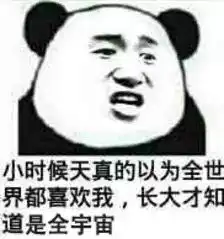 等风来台风啊去哪儿了