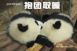 开心的表情包过冬