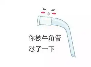 驾考表情包奇葩