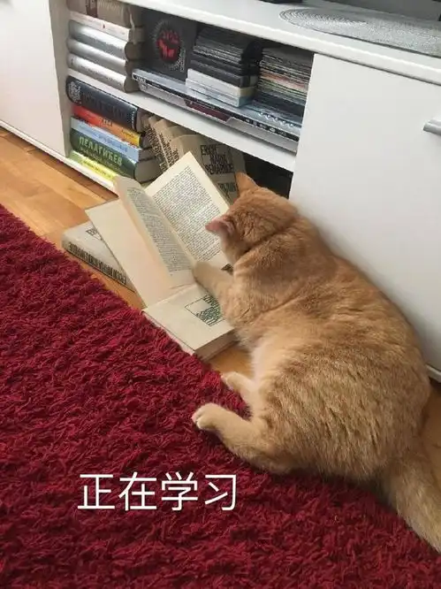 工作学习表情包老板再给我讲公司的前景,你这是不给我面子