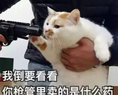 泰国新年众生相唐人街人山人海,交通死超新冠,餐厅客聚众嗑药