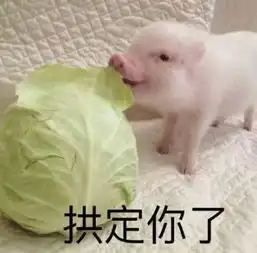 不靠颜值,凭实力圈粉,黑松露,它很贵但很值