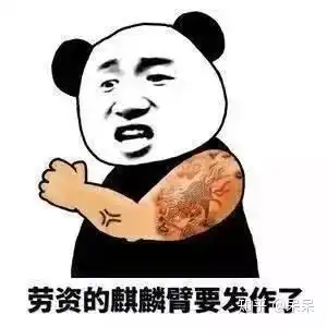 入门鼠标推荐g304和毒蝰mini