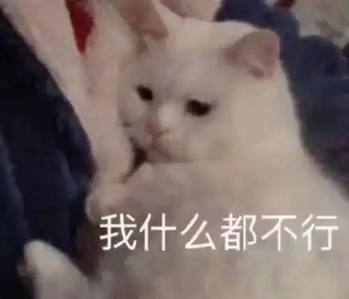 最新平湖驾校排行出炉,最厉害的原来是这个学校