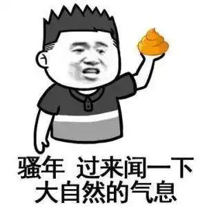 越南行记是越南越美还是越难越没