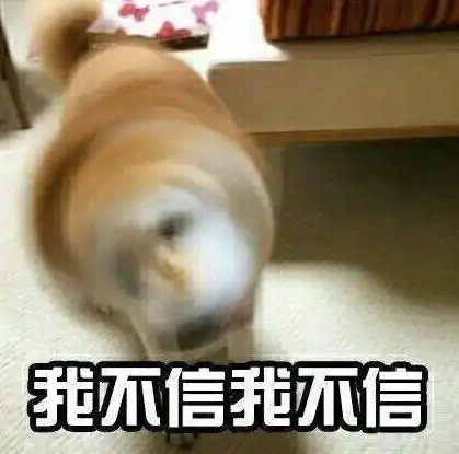 主人和劫匪搏斗时,傻狗子你在做什么